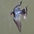 In flight. Note: white band across deeply forked tail